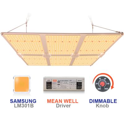 China Seed starting IP65 waterproof smart commercial plant 600w lm301h cob led grow light full spectrum for indoor plants for sale