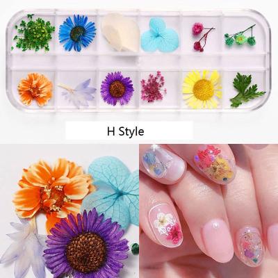 China 10 Mix Styles NA054 Mix Styles NA054 Natural 3D Flower Floral Leaf Stickers Dry Jewelry Nail Art Designs Polish Decoration Nails for sale