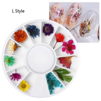 China 10 Styles NA054 1 Box 3D Nail Dried Flower Nail Decoration Natural Floral Sticker Mixed Dried Flower DIY Decoration Nails for sale