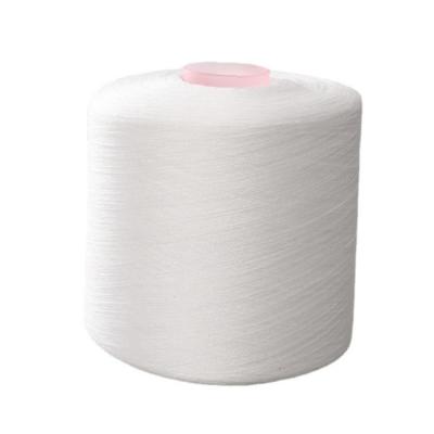 China Hot Sell 30/2 100% Polyester Spun Yarn For Polyester Sewing Thread for sale