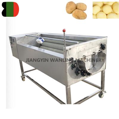 China Vegetable Automatic Taro Yam Food Beet Sweet Potato WLC Peeling Seal Fruit and Vegetable Brush Cleaning Washing Machine for sale