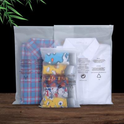 China Recyclable Custom Transparent Plastic Bag Zipper Lock Logo Slider Frosted Clothing Bags for sale