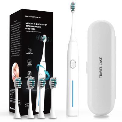 China Factory Price Sonic Electric Toothbrush Head Sonic Toothbrush Oral Care Replacement Battery Powered Toothbrush for sale