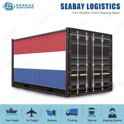 China China Logistics Company Sea Cargo Freight To Netherlands Curacao Saba Amsterdam Rotterdam DDP Shipping Sea Freight for sale