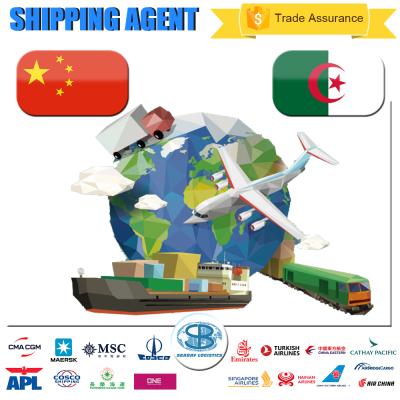 China Freight Forwarder From Shenzhen Guangzhou Zhejiang Qingdao Xiamen To Algeria By China Shipping Agent Service Sea Air Shipping for sale