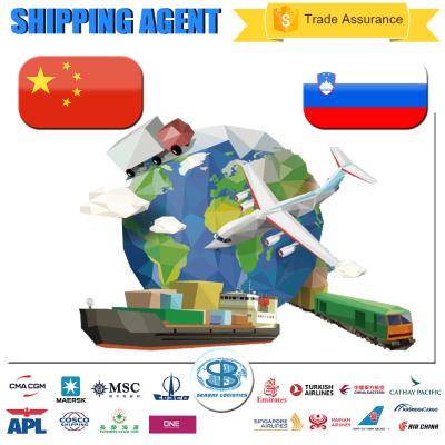 China China International Logistics Sea Shipping Rail Freight China To Slovenia Seabay Worldwide for sale