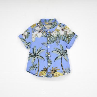 China Anti Shrinkage Shorts Sleeves Hawaiian Style Shirt Latest Design Boys Casual Shirts For Kids Children 3 Or 8 Years Blouse MIMY Tops Kids Apparel for sale