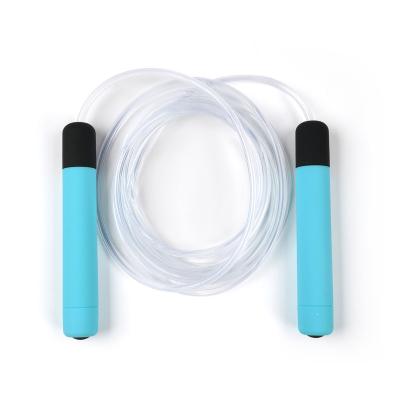 China Customized Logo Jump Rope Home Exercise Shiny Transparent Silicon ABS Handle Jump Rope Youth for sale