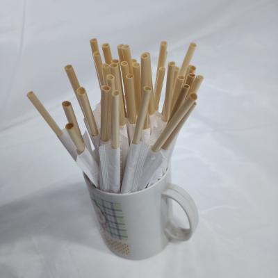 China 2021 Best Selling Disposable Products in USA Amazon Eco Individually Wrapped Wheat Drinking Straws for sale