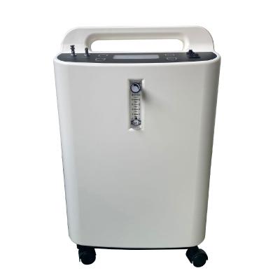 China High Grade Health And Medical Supplies Adjustable 10L Oxygen Concentrator 380*330*600 Mm for sale