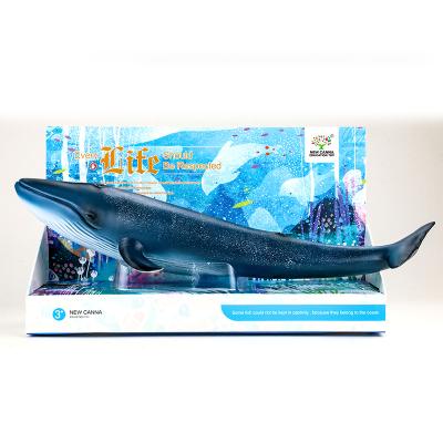 China Latest Hard Vinyl Sea Animal Whale Material Solid Animal Model Educational Toys for sale