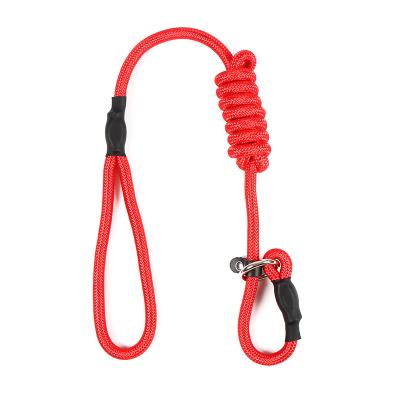 China Fast Version 5FT Adjustable Slip Lead Nylon Dog Leash Pet Training Leash For Small And Medium Dogs for sale