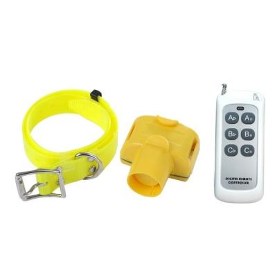 China 2021 Wholesale Viable New Arrival Factory Direct Selling Dog Training Collar With Remote Control for sale