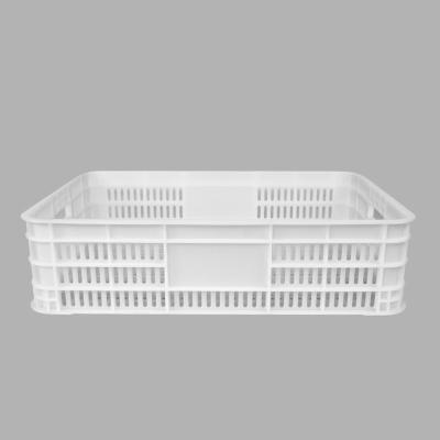 China Mesh Adjustable Plastic Crates Basket Box Agriculture Fruit Mushroom Vegetable Transport Storage Crates for sale