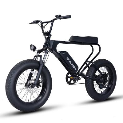 China TAIQI DK200 Ervebo E Retro Fat Bike 500w Vintage Bicicleta Electrica Bike Steel Super Tire MTB 73 Electric Bike for sale