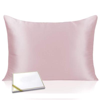 China 100% Hot Sale Anti-Static Mulberry Silk Pillowcase For Natural Hair And Skin Momme Silk Pillow Cases 22 Real For Women Standard Size for sale