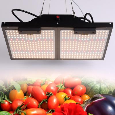 China Seed Starting Greenhouse Waterproof Efficiency High Power Chip Dimmable 180W Full Spectrum Led For Growing Light for sale