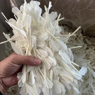 China Natural Pure White Duck Feather For Badminton Shuttlecock Goose Feather Washed Good Quality XS006-1 for sale