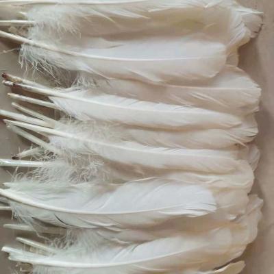 China Duck Feather Shuttlecock Badminton Natural Quality XS007-1 Duck Feather Pure White Badminton Shuttle Top for sale