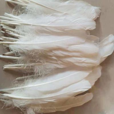 China Pure White Quality Duck Feather Natural XS007-3 Duck Feather Shuttlecock Badminton Badminton Shuttle Top for sale