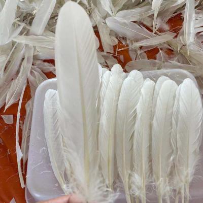 China Natural goose feather badminton shuttle goose feather shuttlecock pure white badminton XS006 for sale