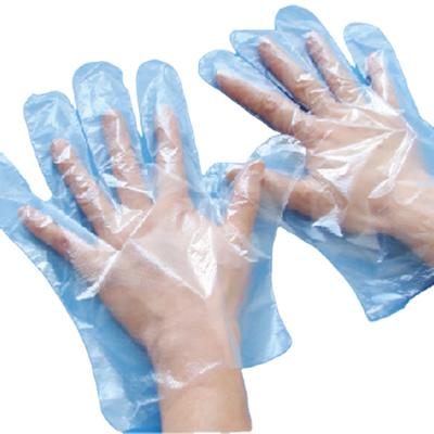 China High Quality Safety Hand Protective PE Disposable PC Gloves for sale