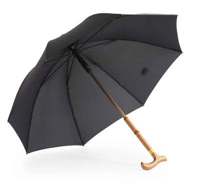 China Hot Selling Minimalist Umbrella Stand Free Stand For Cane Men Stand Stick Umbrella Cane Umbrella for sale