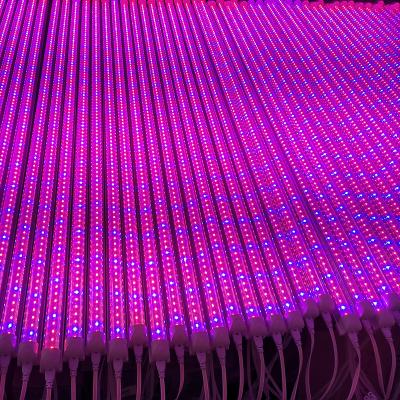 China 2021 New 9w 13w 18w 36w Lettuce Strawberry Hydroponic Plant Vegetables And Flowers Beam 4 8ft T5 T8 Full Spectrum LED Plant Grow Light Tube for sale