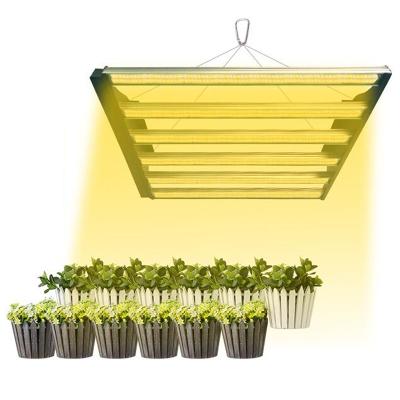 China High Quality Fruit Vegetable Greenhouse Flower Growing Lights 6500K Led Grow Light Bar Full Spectrum Hydroponic Grow Lamp Horticulture Plant Lights For Indoor Plants for sale