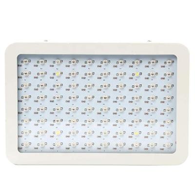 China Eco-Friendly 600W 1000W LED Grow Lighting For Indoor Plants Grow Light For Indoor Plants 660 LED 10 Watt Chip Full Spectrum Plant Growing for sale