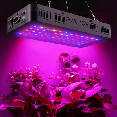 China Seed Seed Growing Flower 2020 1000W Full Spectrum Hydroponic Vegetable Plant Led Grow Light for sale