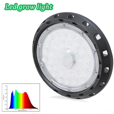 China Vegetable Fruit Greenhouse Flower Growing Lights 100W 150W Ra98 Analog Sunlight Spectrum Led Lights 4000K Use For Health Lighting Full Spectra Greenhouse Led For Growing Light for sale