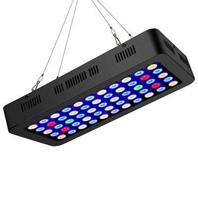 China Aquarium Lights 2019 New 165W Chinese Best Full Spectrum Intelligent Led Aquarium Light With Timer For Fish Tank&Coral Reef for sale