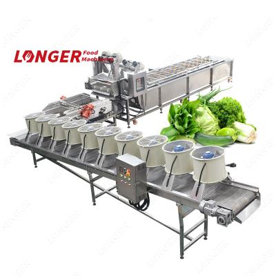 China food & Best Beverage Factory Restaurant Home Type Air Water Bubble Green Vegetable Washing Machine With Ozone for sale