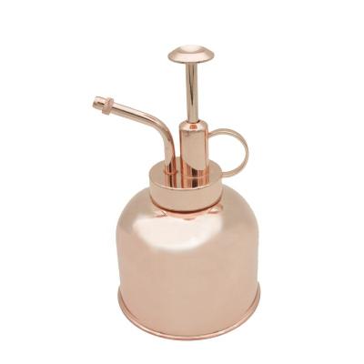 China Garden Water Spray Bottle Stainless Steel Mist Water Spray Can Gardening Mr Pot For Plant Home Plants Watering Pot for sale