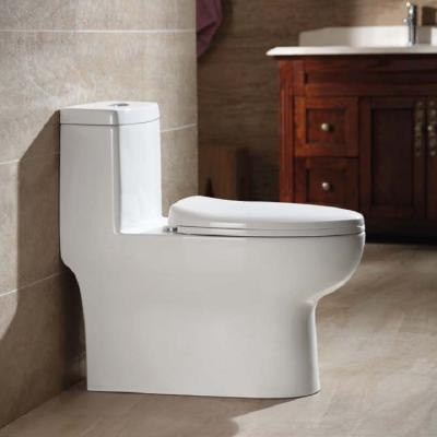 China Double-Flow One Piece Wholesale Price Ceramic Smart Bathroom White Home Economical Toilet for sale