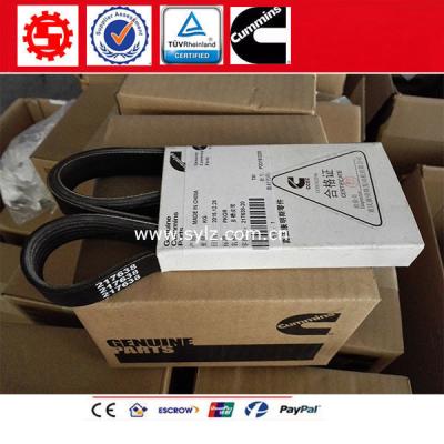 China Genuine Cummins NT855 Water pump Belt 217638 for shantui bulldozer SD22 SD22S for sale