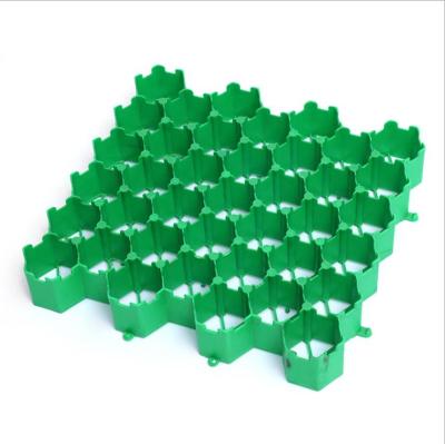 China Modern HDPE Good Quality Grass Cell Plastic Customized Paver Paving Grid Sheet Bushing For Parking Lot for sale