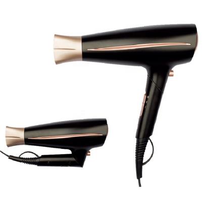 China Foldable Chinese Factory Strong Professional Hair Dryer for sale