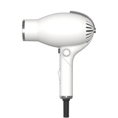 China New Private Label Modern Professional Industrial Foldable Hair Dryer 1800w for sale