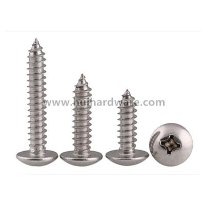 China Pan 304 Stainless Steel Phillips Head Pan SS Self Tapping Screw for sale