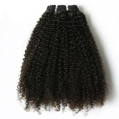 China 100 Curly Hair Weave Bundles Raw Virgin Brazilian Cuticle Aligned Unprocessed Hair Vendors for sale