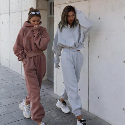 China Breathable Hoodie Active Wear Tracksuit 2 Pieces Set Top Women Clothing Crop Hoodie Women Oversized Sweatshirt for sale