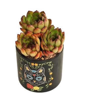 China Garden Modern Fleshy Balcony Green Plant Decorative Black Cat Ceramic Cylindrical Flower Pot for sale