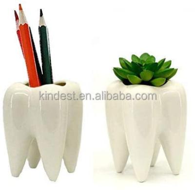 China Modern Hot Sale Teeth Form Flower Pot Succulent Planter for sale