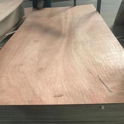 China Commercial Okumu Linyi 18mm Industrial Birch Poplar Plywood For Furniture E1 12mm 15mm 18mm BROWN Plywood And BLACK Pine Combi Poplar Poplar for sale