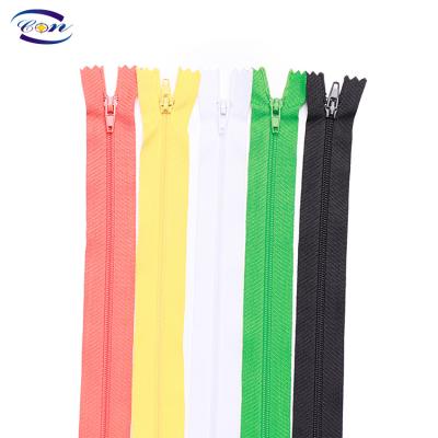 China Professional Manufacturing Cheap Customized Nylon Auto Lock Zipper Pull Sustainably for sale