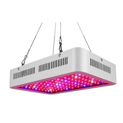 China Seed Starting 2021 Best LED Grow Light Using Newest Indoor Plants Growing Flower Stage Seeds Grow Light for sale