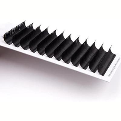 China Professional supplies of natural soft cheap lashes eyelash extensions wholesale for sale