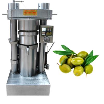 Cina Large Size Hydraulic Type Sesame Oil Making Machine For Olive Sesame Avocado in vendita